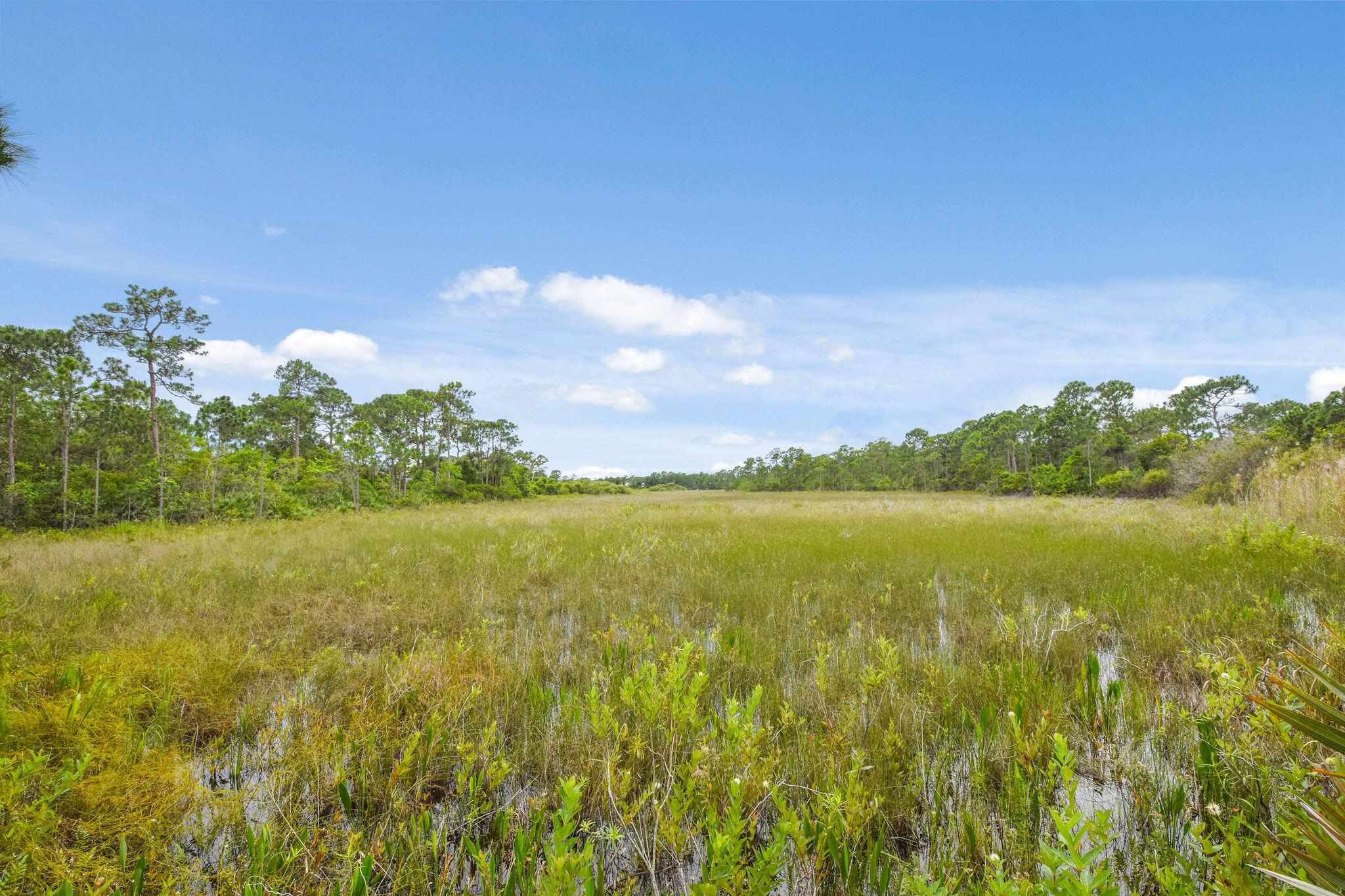 THE ARBORS (AKA FOREST GL - Residential