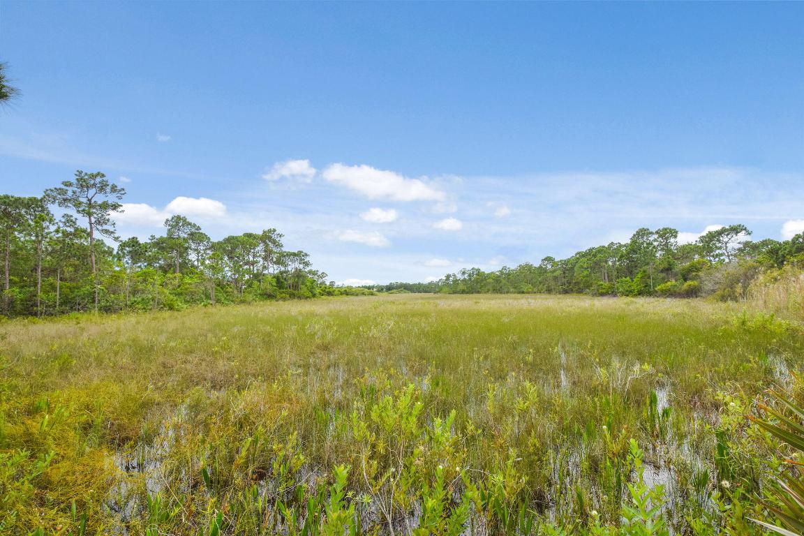 THE ARBORS (AKA FOREST GLADE) - Residential