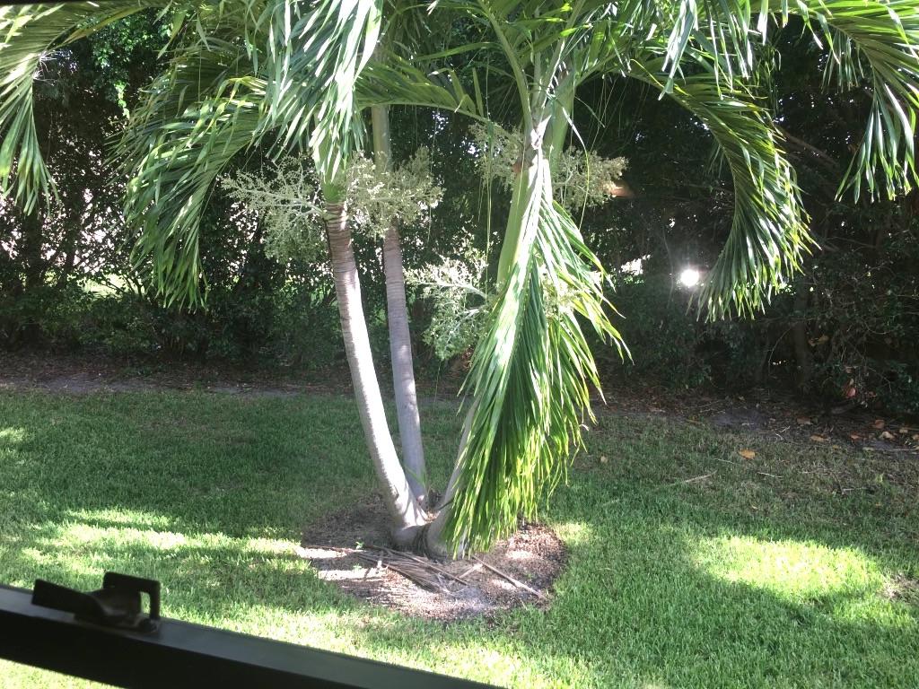 BETHESDA PARK CONDO - Residential