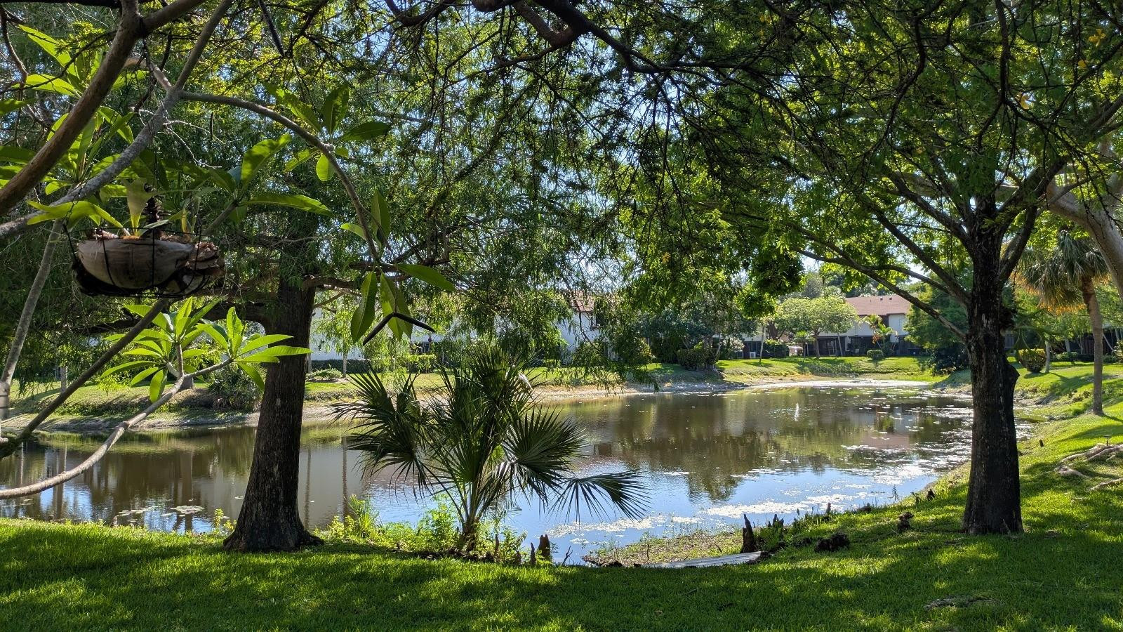 Golden Raintree V - Residential