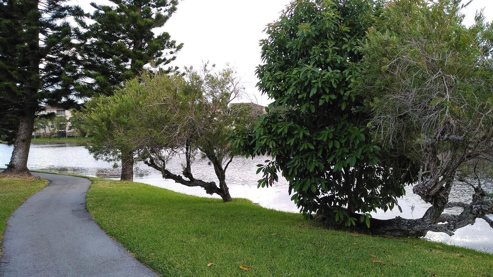 Golden Raintree V - Residential