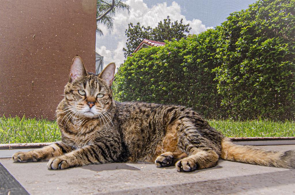 WOODBINE PAR C - Residential