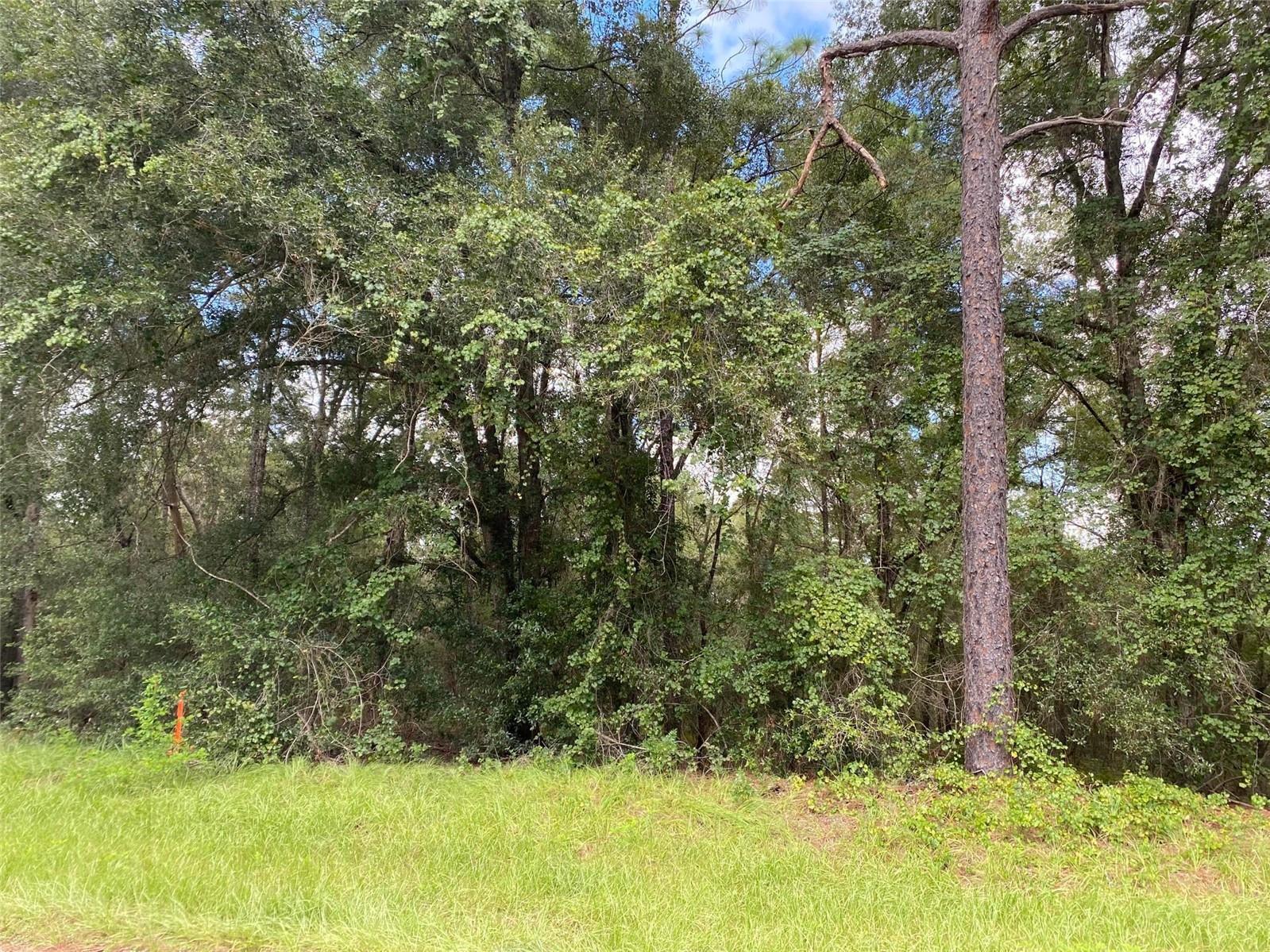 CITRUS SPRINGS UNIT 20 - Land