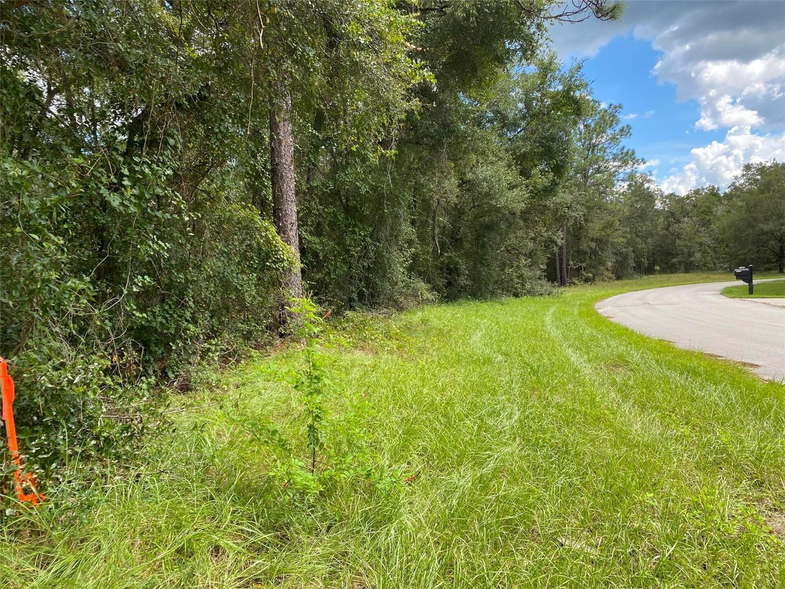 CITRUS SPRINGS UNIT 20 - Land