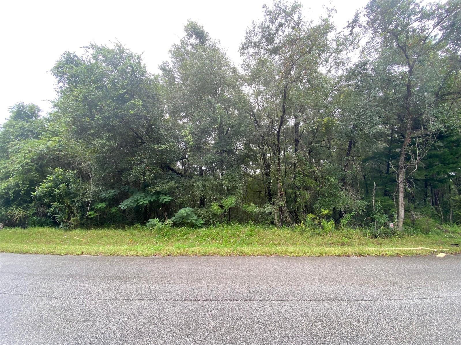 Fantastic lot in the thriving community of Citrus Springs! This homes-only subdivision offers the perfect setting for your dream home. The property sits high and dry at over 80 ft above sea level, directly across from a beautiful new home. Citrus Springs is a popular golf community featuring a community center, tennis courts, playgrounds, and parks. The Withlacoochee State Trail, a scenic north-to-south bicycle trail, runs right through the area. Public water lines are available, and power poles are already on the street for easy utility access. Enjoy being just minutes from the Rainbow River State Park while still having the convenience of nearby amenities. Don't miss this opportunity to build your Florida dream home!