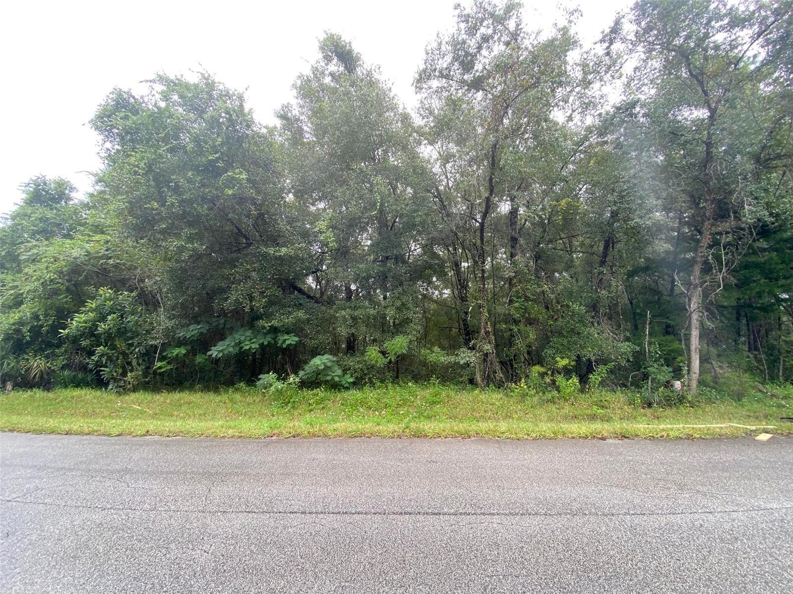 CITRUS SPRINGS UNIT 20 - Land