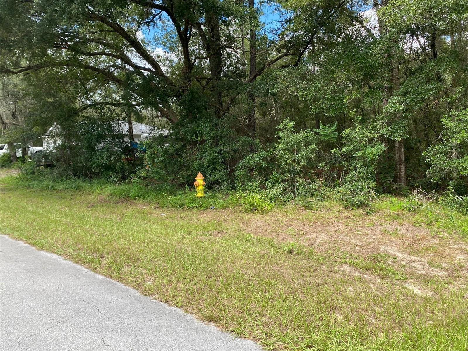 CITRUS SPRINGS UNIT 20 - Land