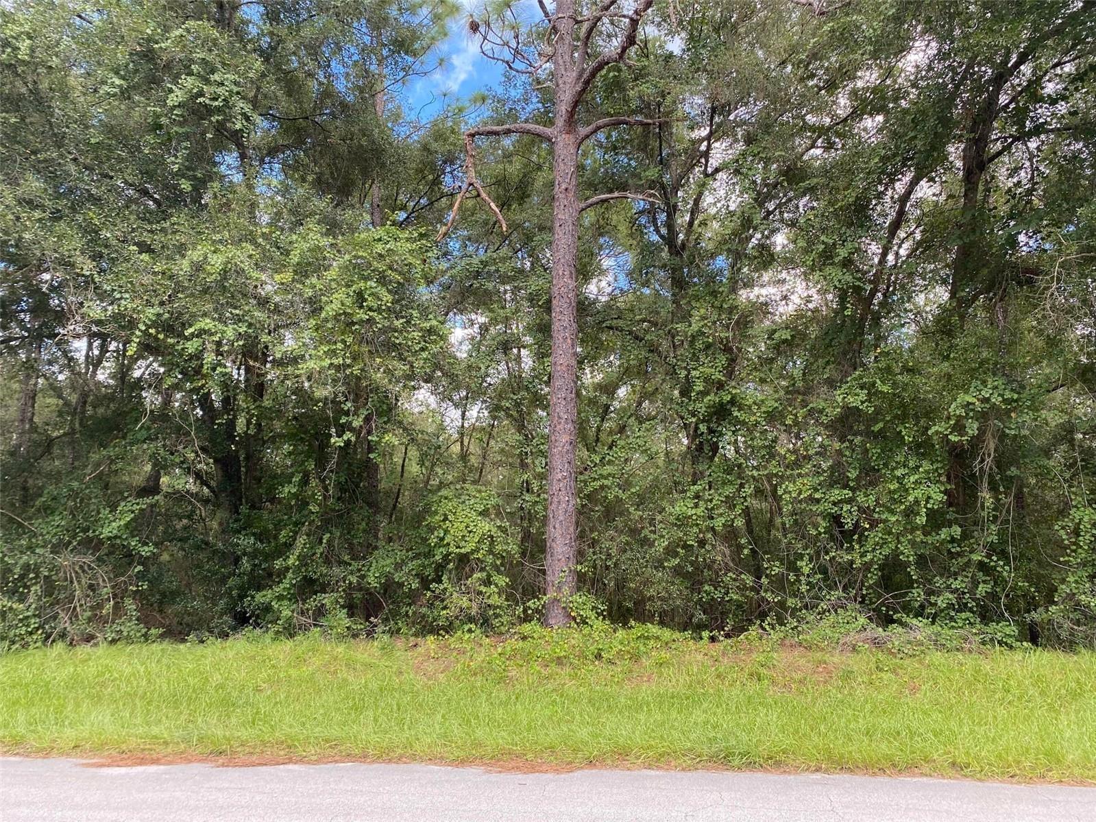 CITRUS SPRINGS UNIT 20 - Land