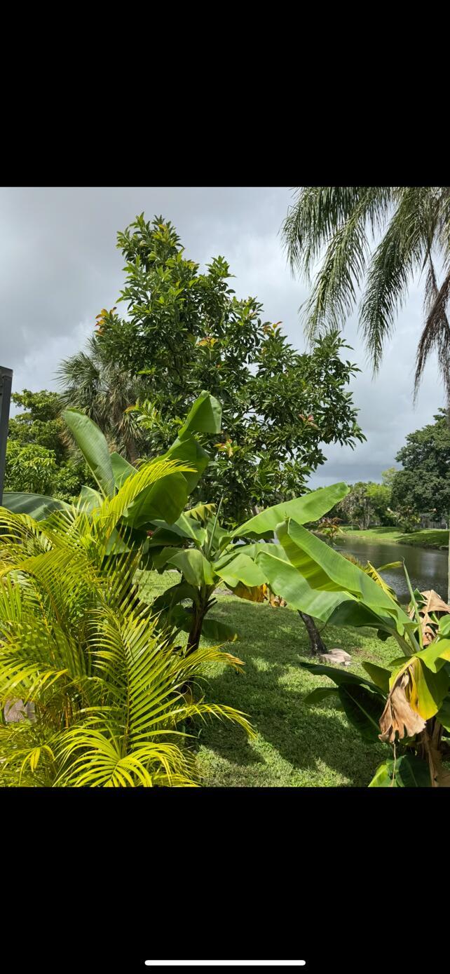 BOCA GREENS 5 - Residential