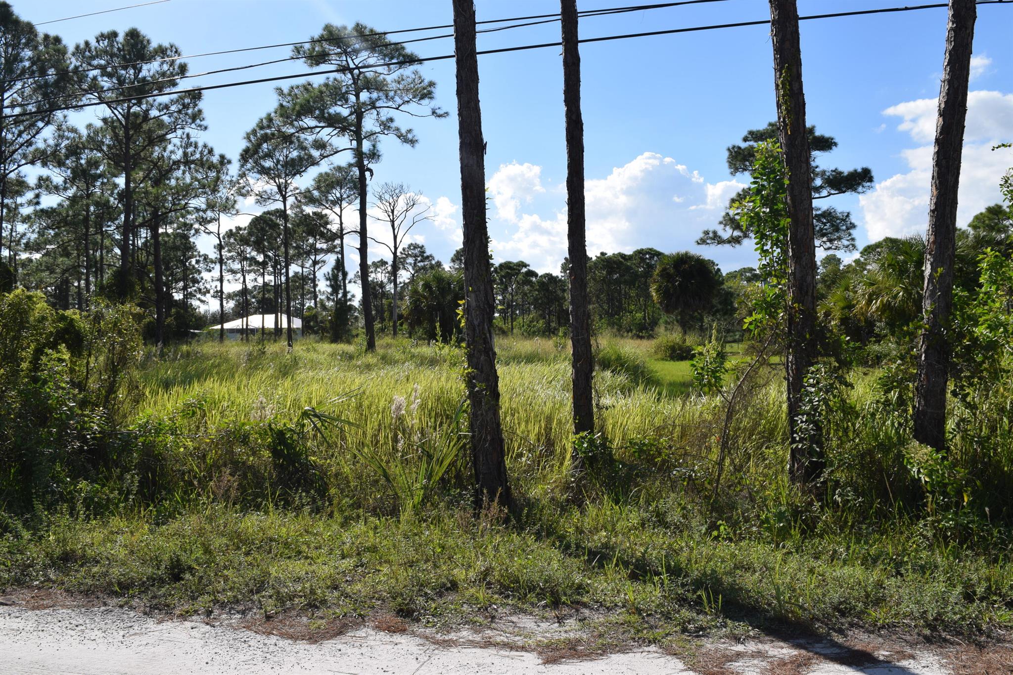 Peaceful Florida countryside living in established acreage community; a rare find, build your dream home on this beautiful 1.16-acre lot, cleared with no wetlands, one of the last buildable lots in this community surrounded by nice custom build homes, with no HOA and only county taxes. Ready for construction, environmental study and survey have been completed, just design your dream home and start your permitting process.  Embrace the charm and tranquility of rural living while centered near US1, shopping, restaurants, as well as easy access to the Fort Pierce inlet & Indian River Lagoon, a perfect blend of privacy & convenience.  No HOA, no building restrictions, ideal for horse owners or build your private retreat!  There is no place like home!