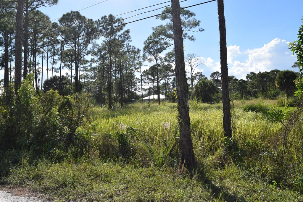 Photo of 0 Tree Top Trail, Fort Pierce, FL 34951 (MLS # R11134701)