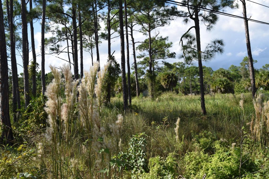 Photo of 0 Tree Top Trail, Fort Pierce, FL 34951 (MLS # R11134701)