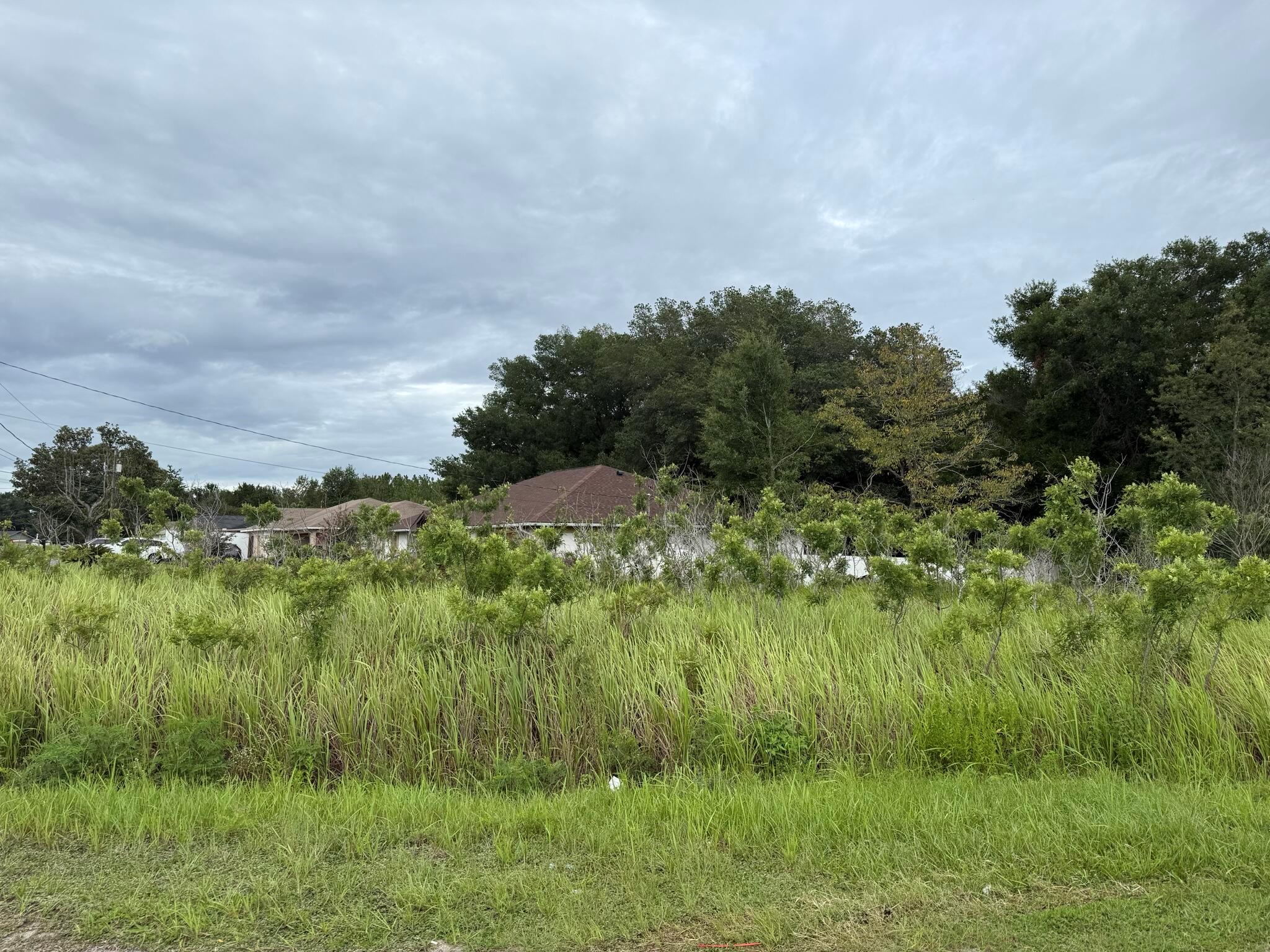 Tbd Almond Drive
