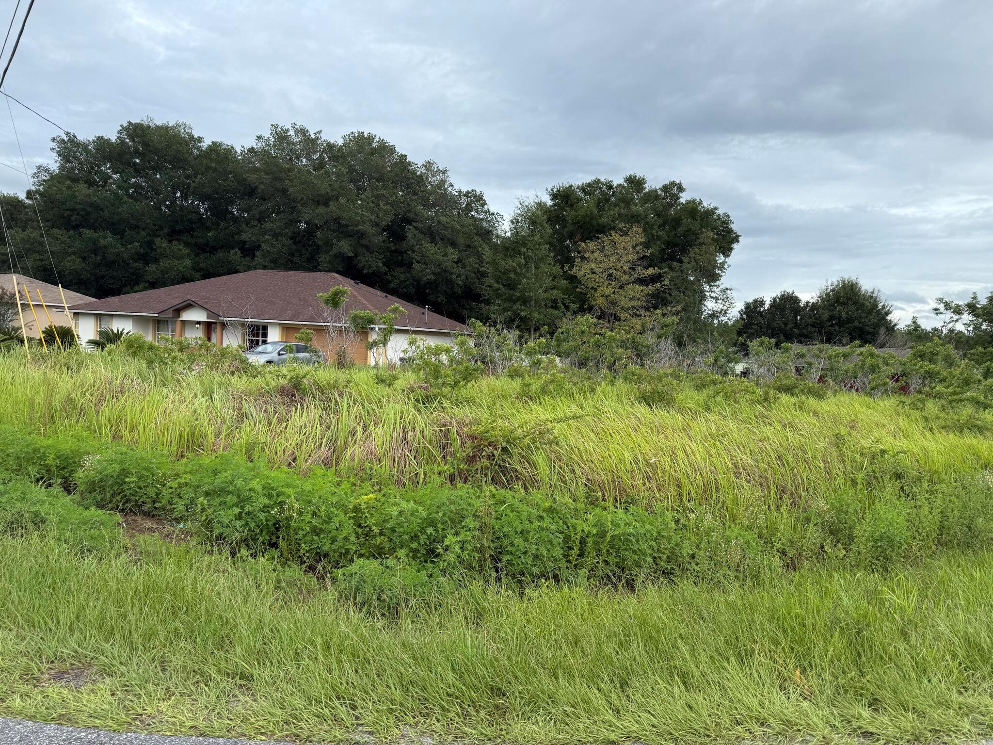 Build Your Dream Home in Silver Springs Shores! Discover the perfect opportunity to own a spacious 0.33-acre vacant lot in the growing community of Silver Springs Shores in Ocala, Florida. Nestled in a peaceful residential neighborhood, this property offers a blank canvas for your dream home or future investment. With paved road access, nearby utilities, and no HOA, this lot provides both convenience and flexibility. Enjoy the tranquility of suburban living while being just a short drive from shopping, dining, schools, medical facilities, and the natural beauty of Silver Springs State Park. Whether you're looking to build now or invest for the future, this property offers incredible value in a thriving area. Don't miss your chance to own a piece of Florida paradise -- drive by today and