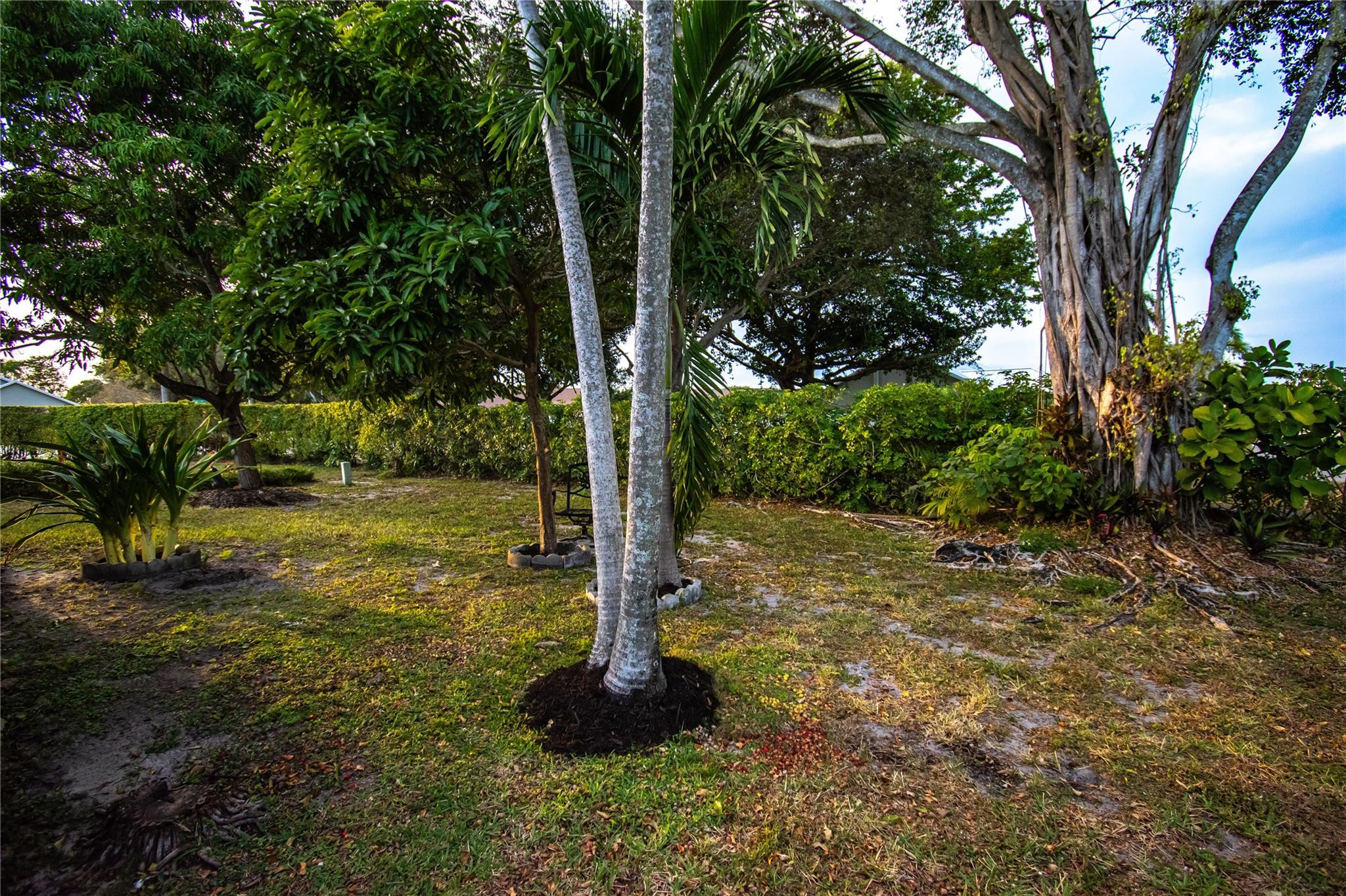 Boca Fontana - Residential Lease