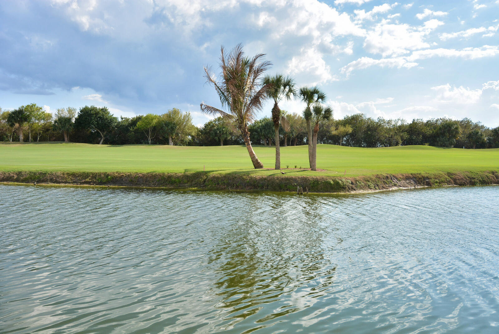 FLORIDA CLUB - Residential Lease