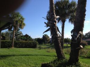 Port St. Lucie Section 12 - Residential Lease