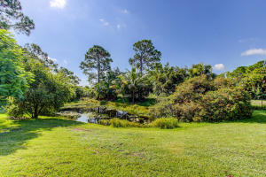 Palm Beach Country Estate - Residential