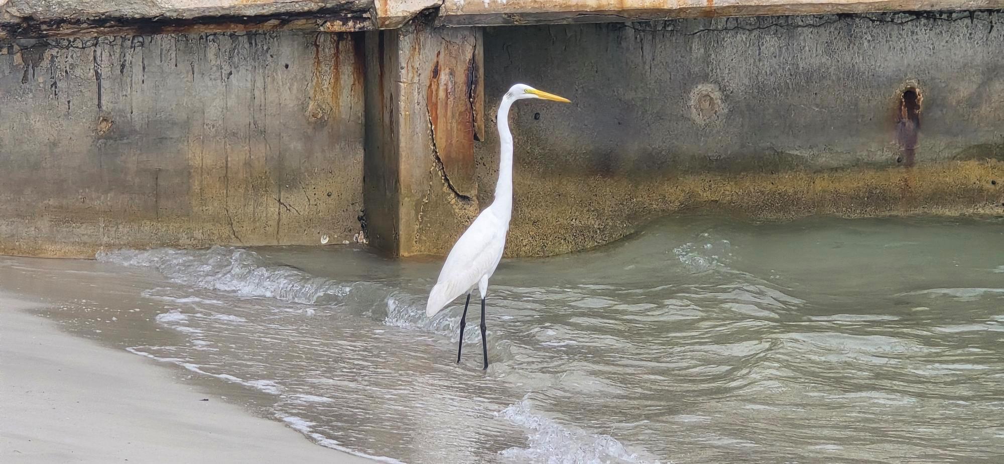 PALM BEACH HOUSE - Residential