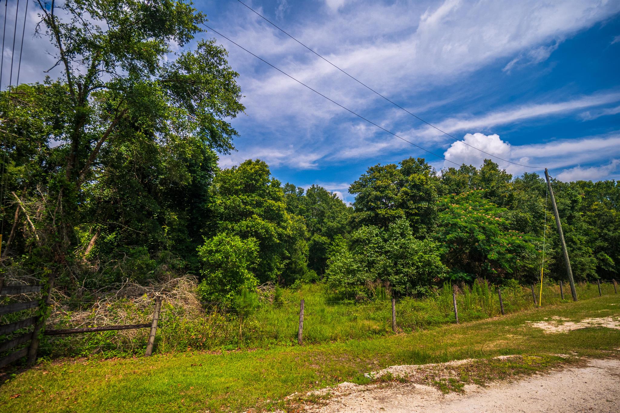 Greater Wellborn area - Land