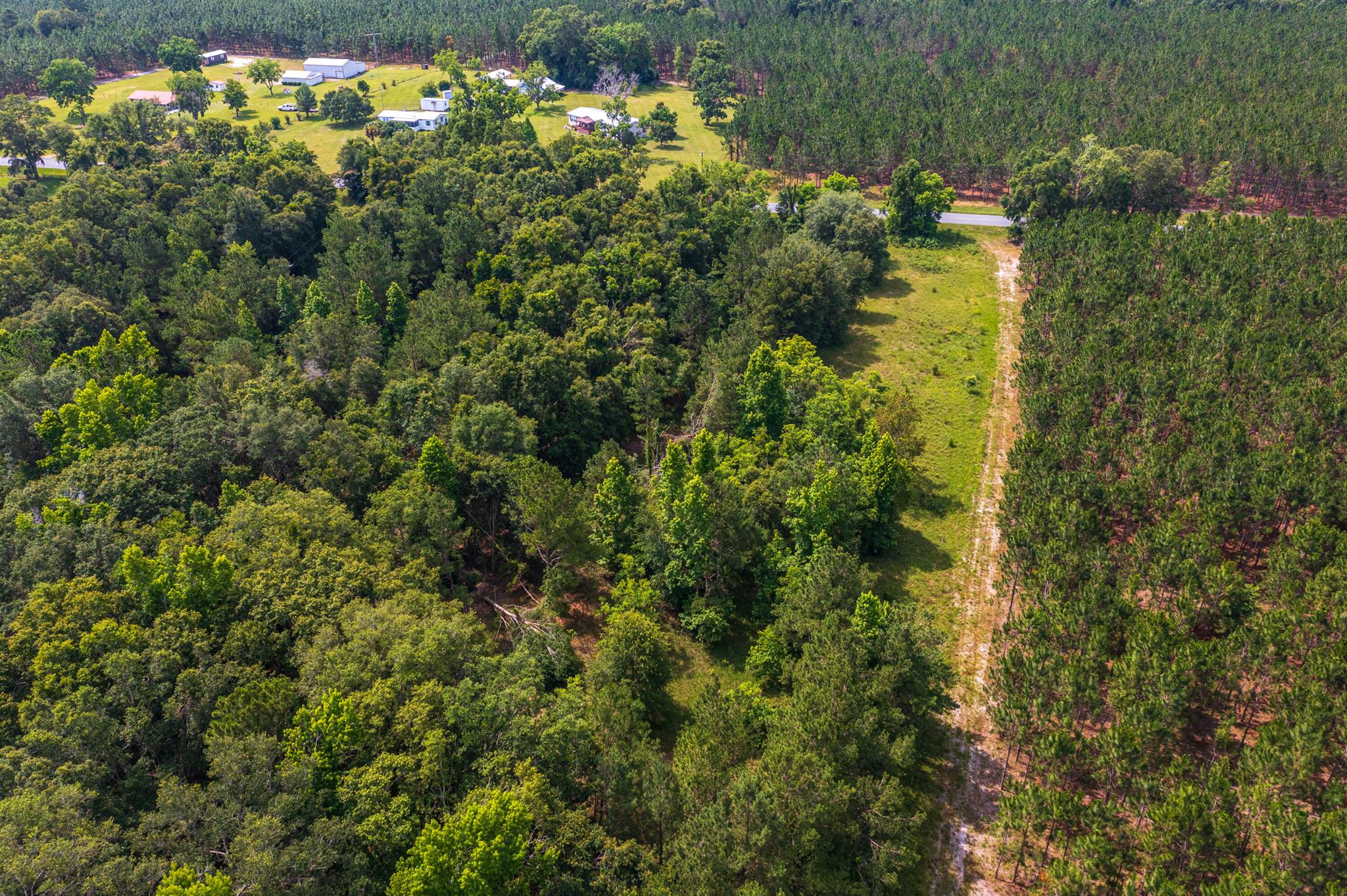 Greater Wellborn area - Land