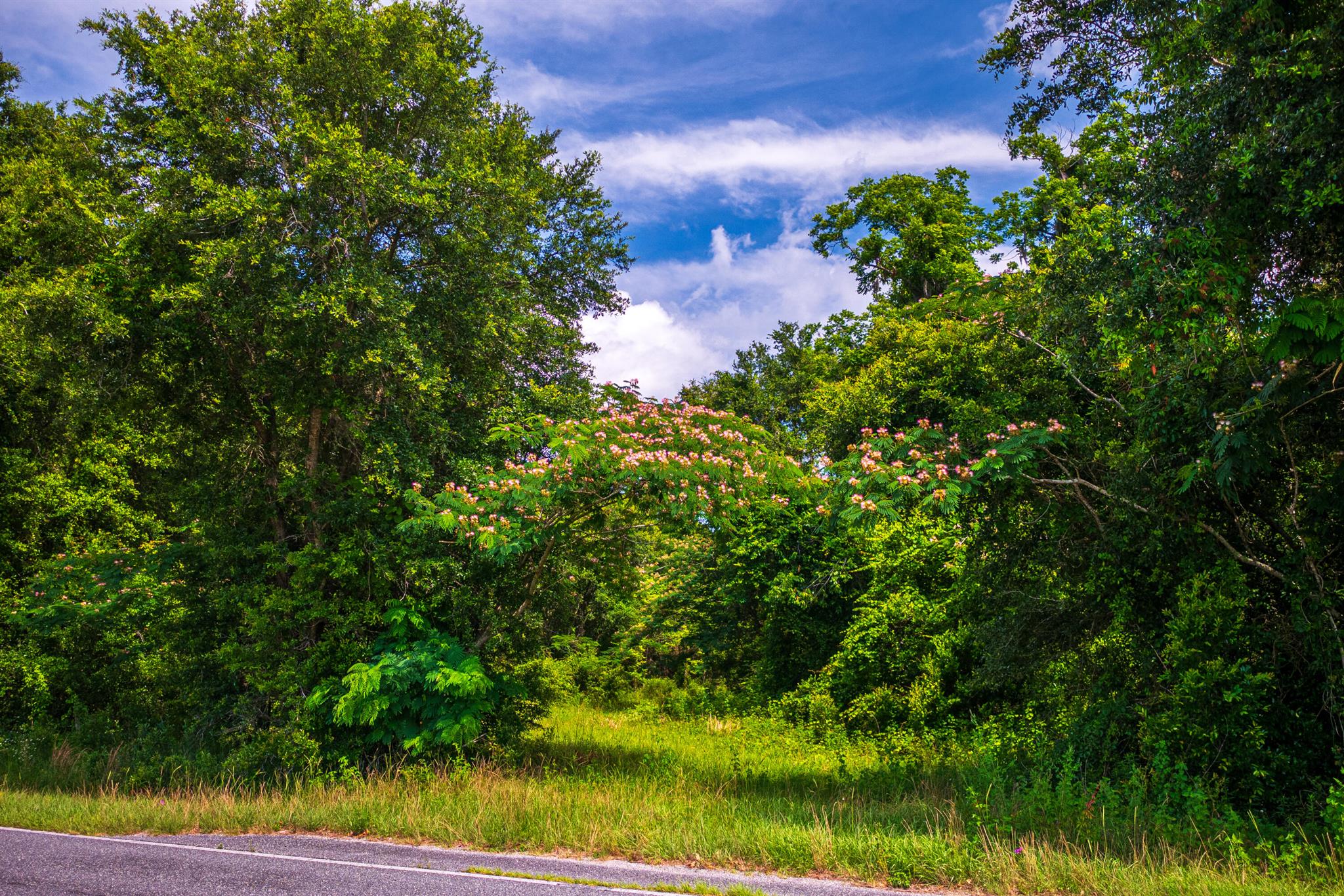 Greater Wellborn area - Land