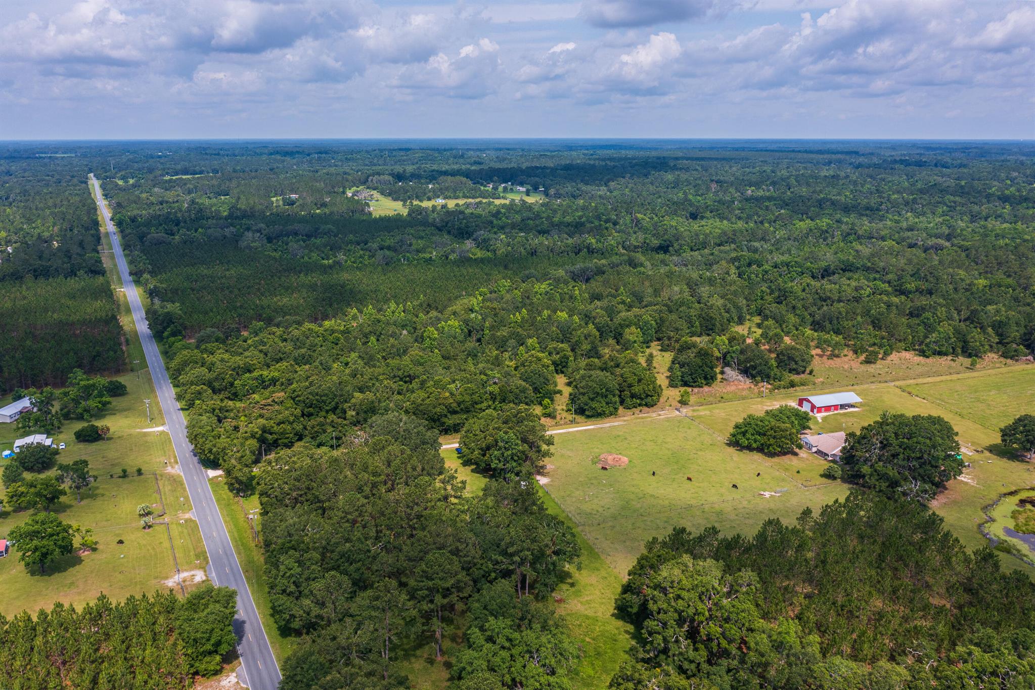 Greater Wellborn area - Land