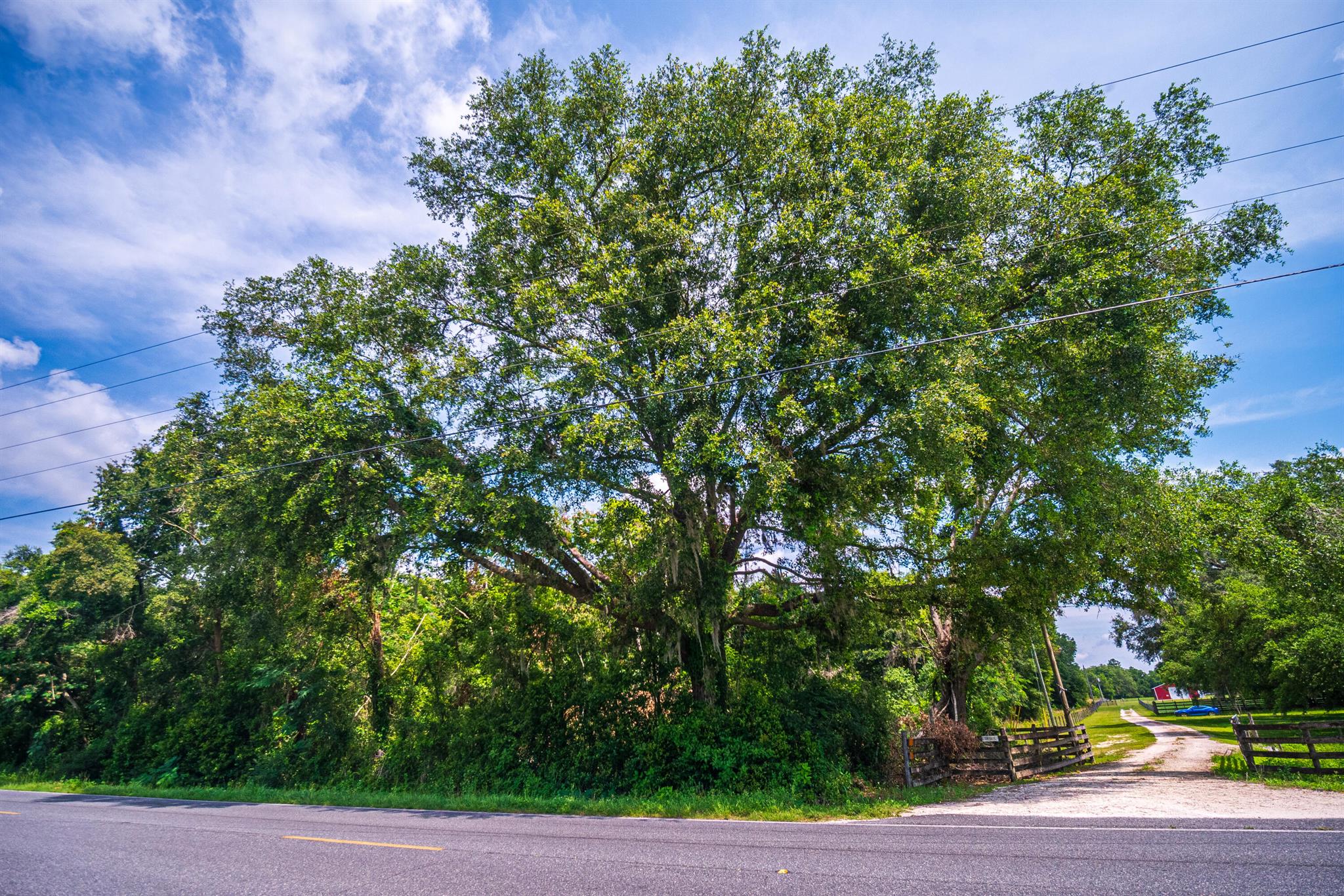 Greater Wellborn area - Land