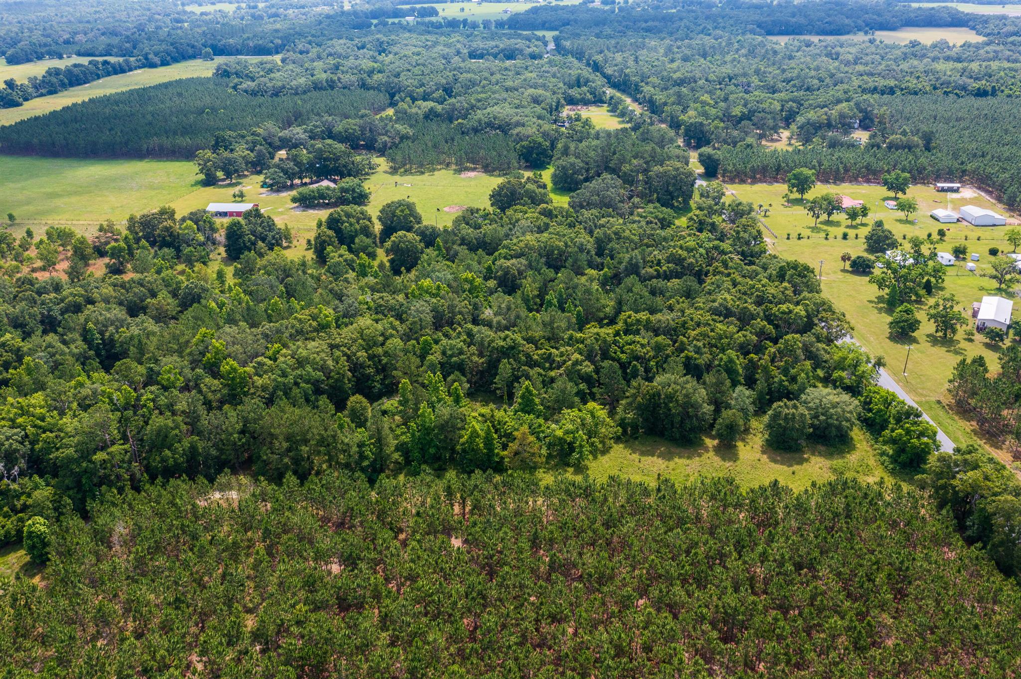 Greater Wellborn area - Land