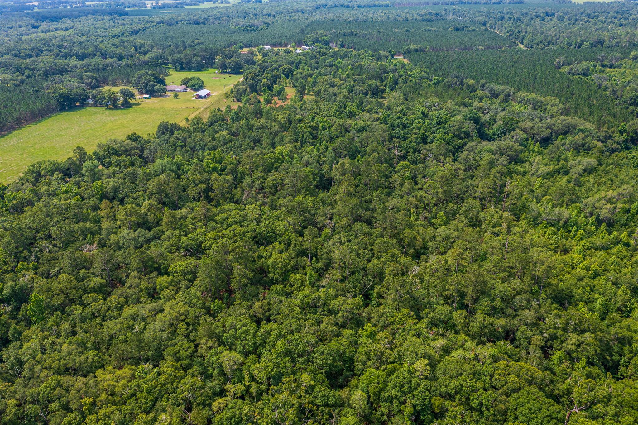 Greater Wellborn area - Land