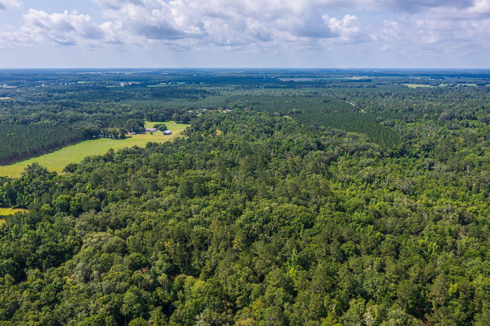 Greater Wellborn area - Land