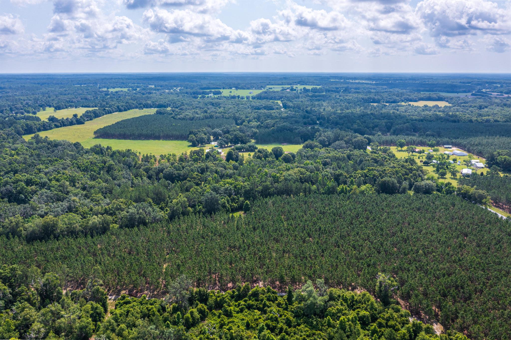 Greater Wellborn area - Land
