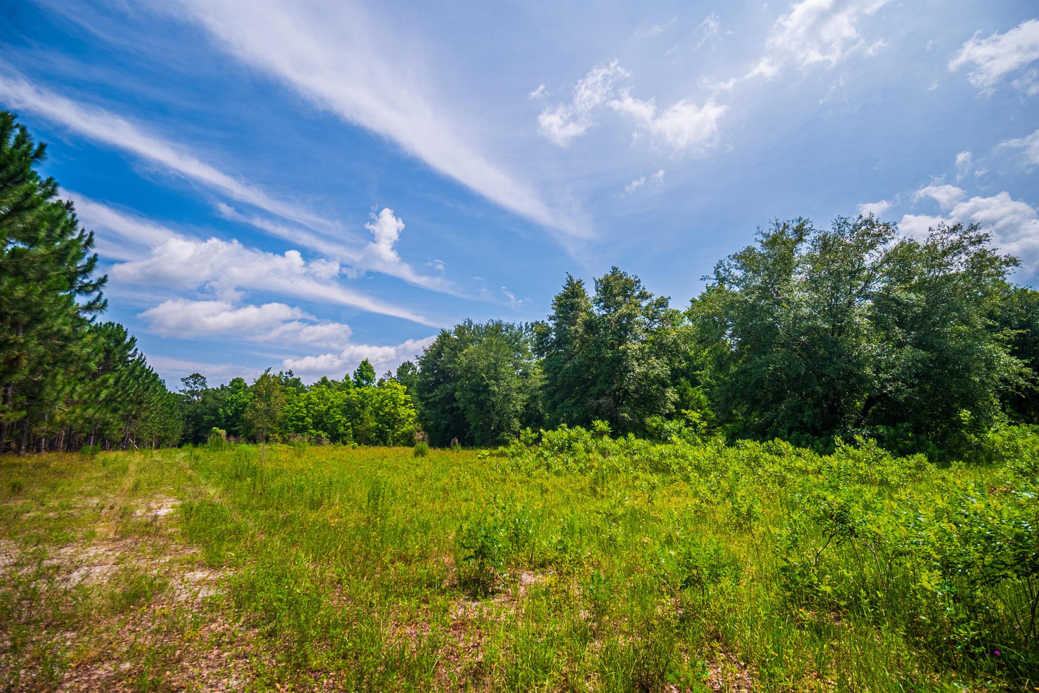 Greater Wellborn area - Land