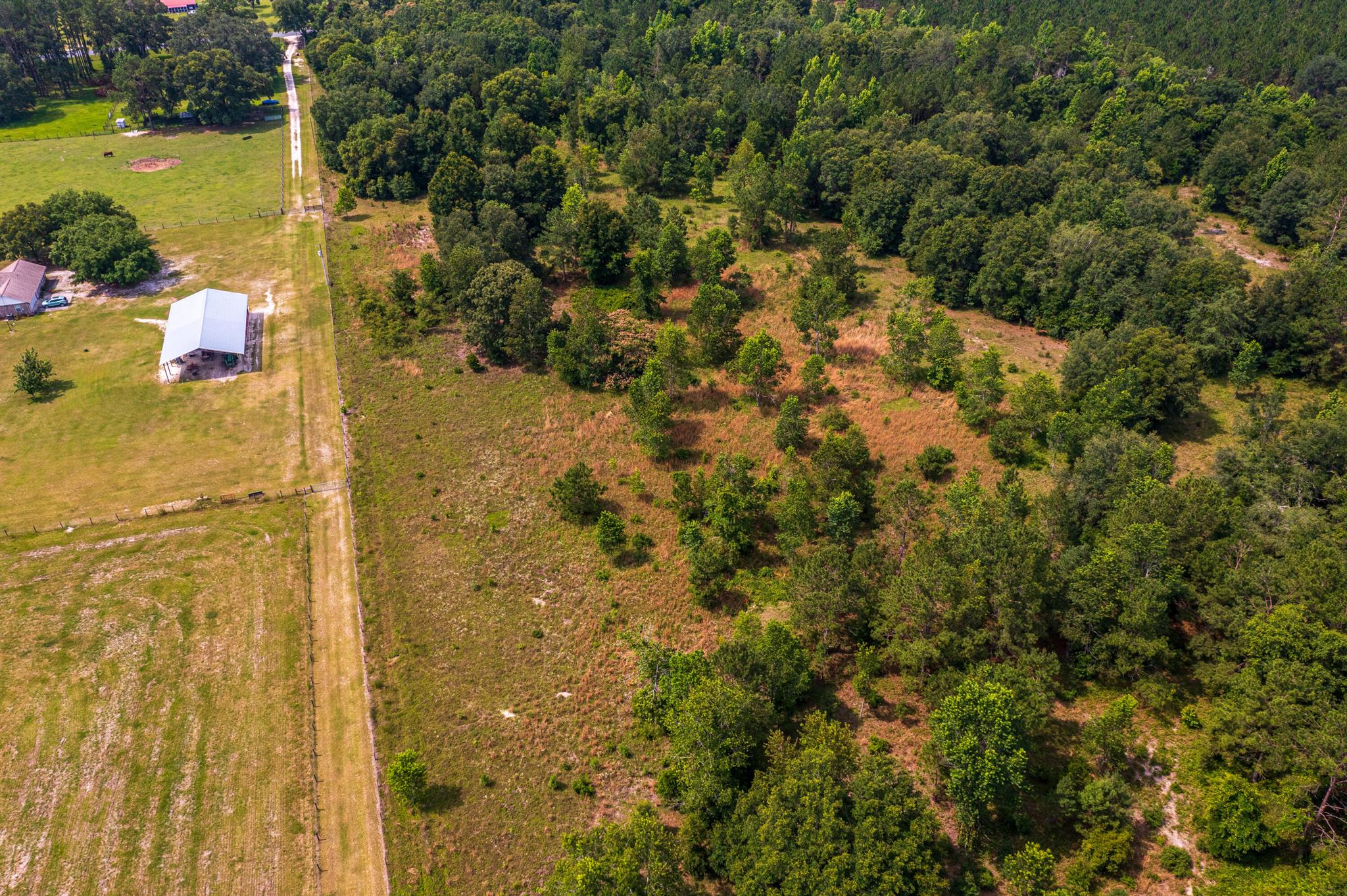 Greater Wellborn area - Land