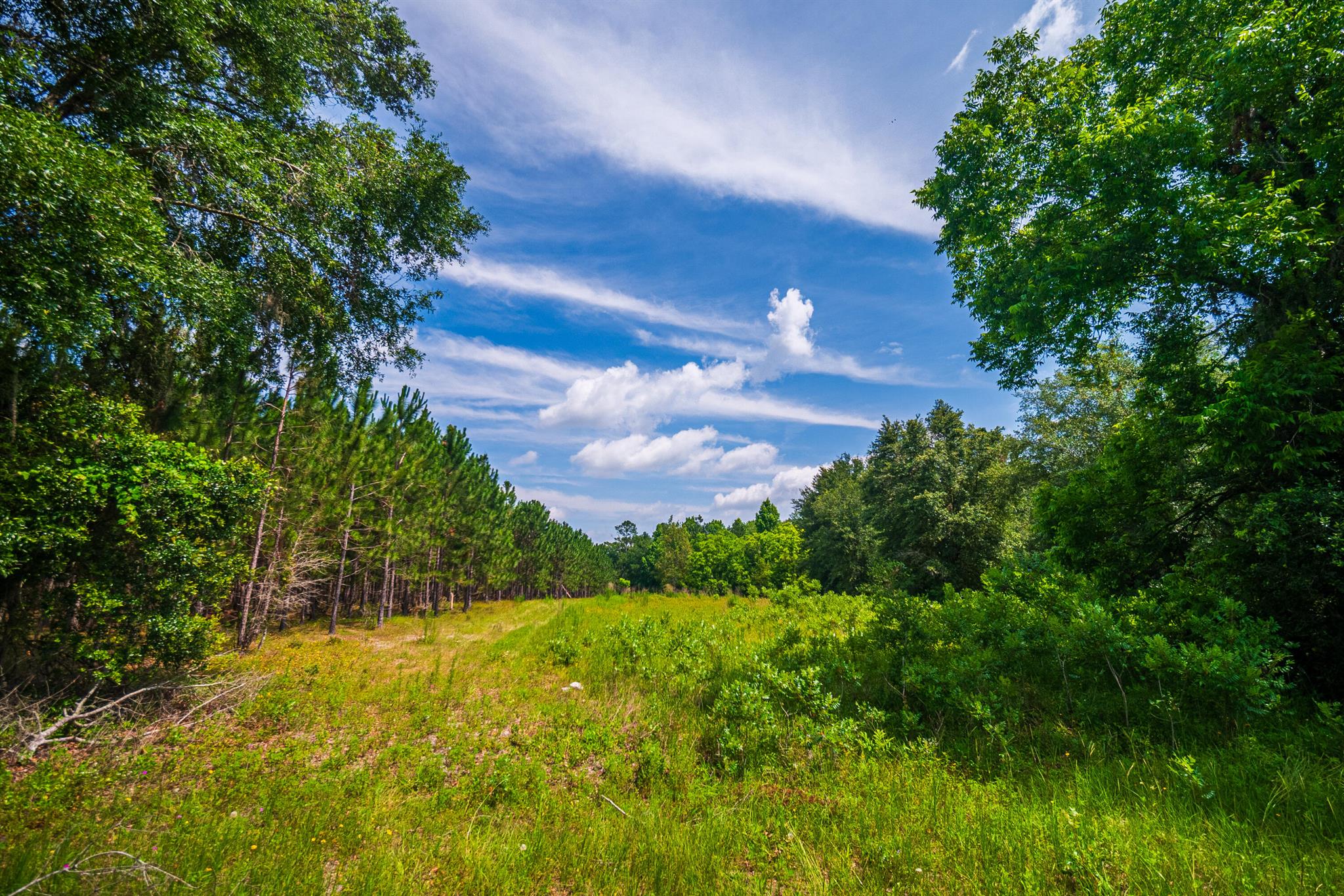 Greater Wellborn area - Land