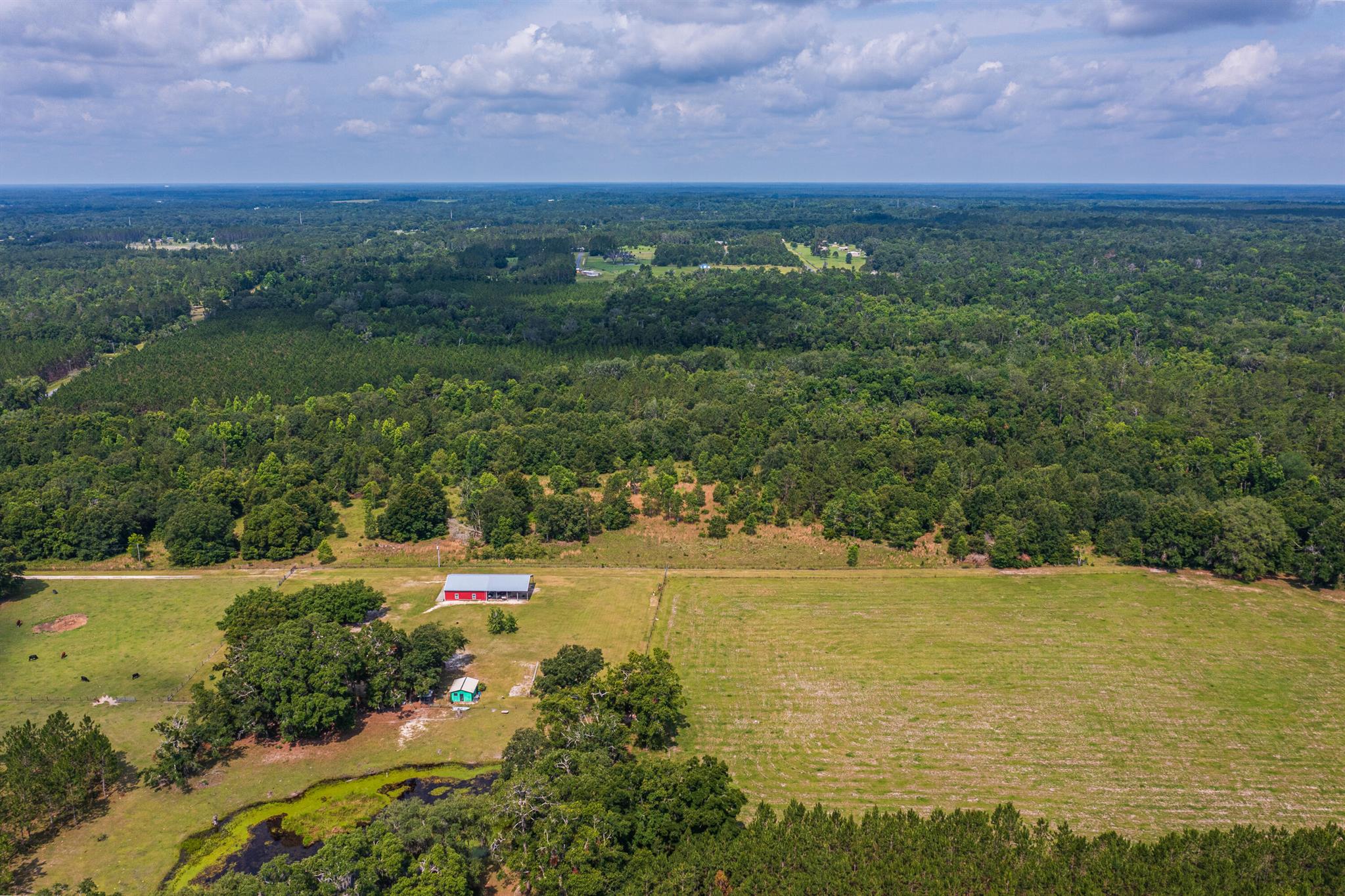 Greater Wellborn area - Land