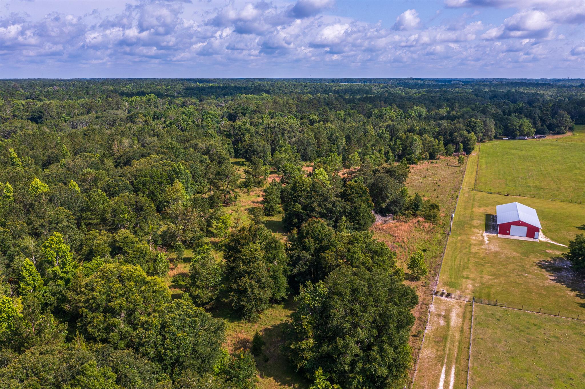 Greater Wellborn area - Land