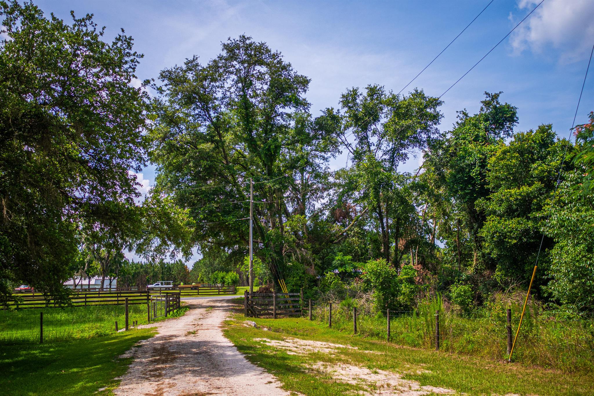 Tbd County Rd. 252