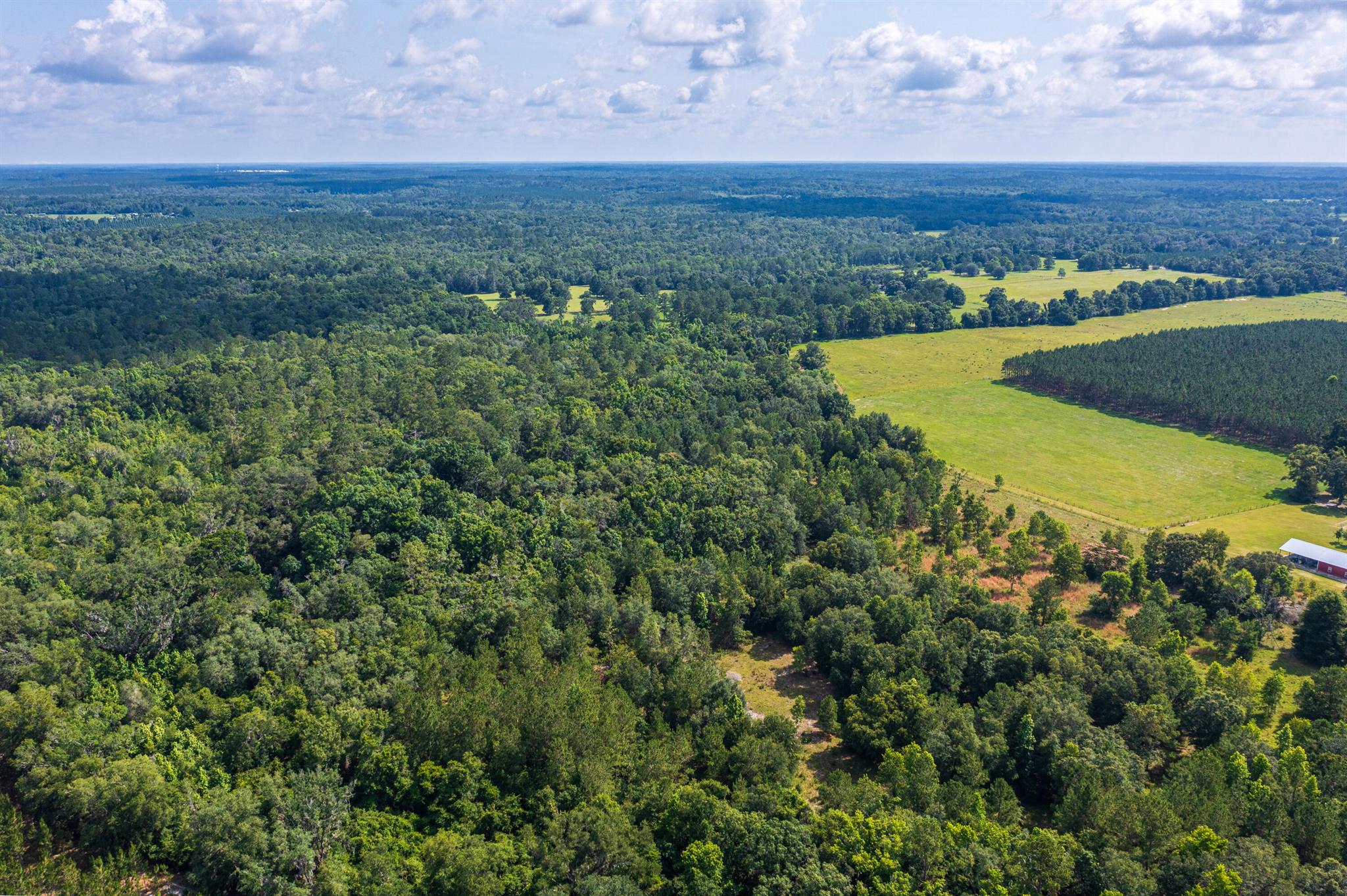 Greater Wellborn area - Land