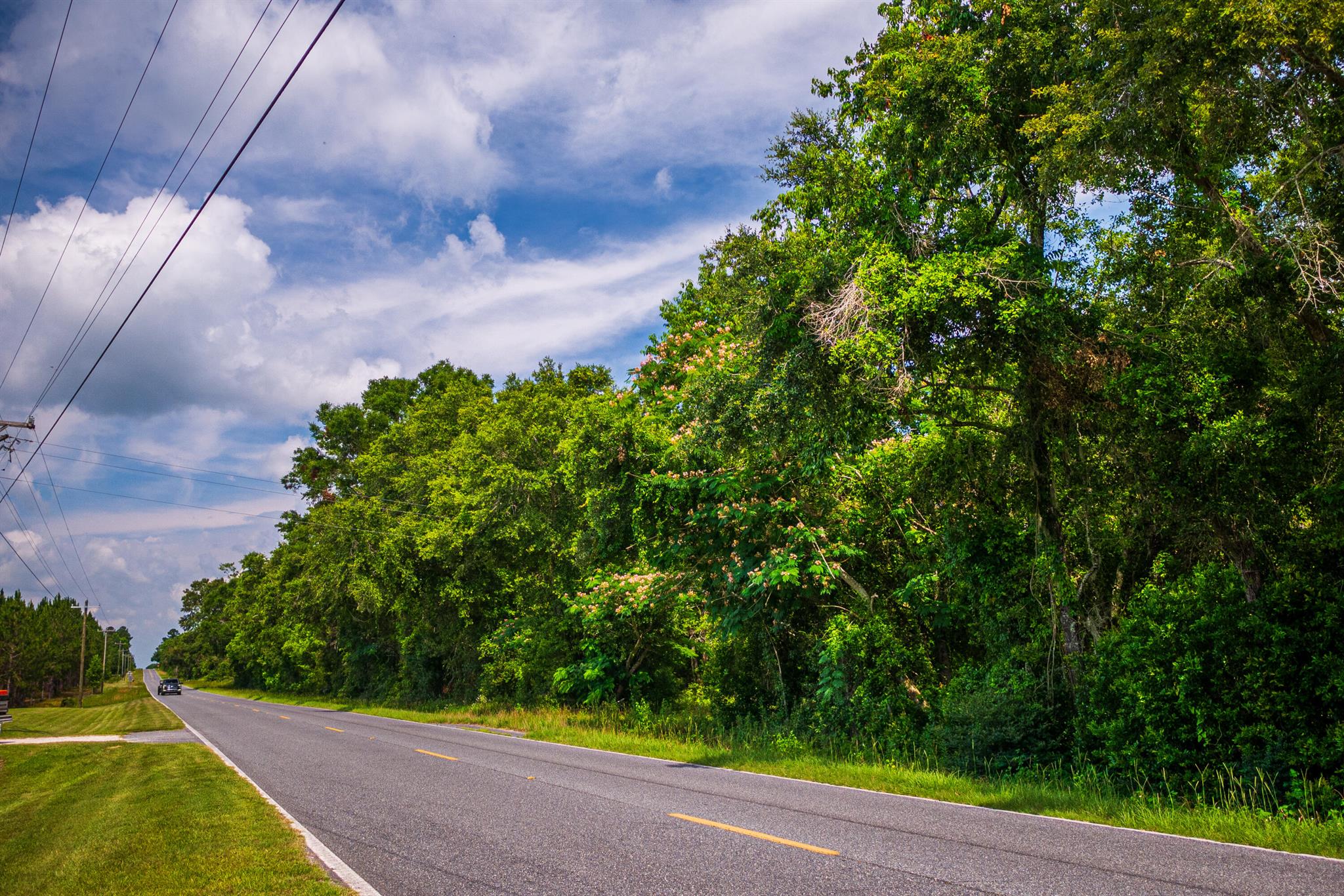 Greater Wellborn area - Land