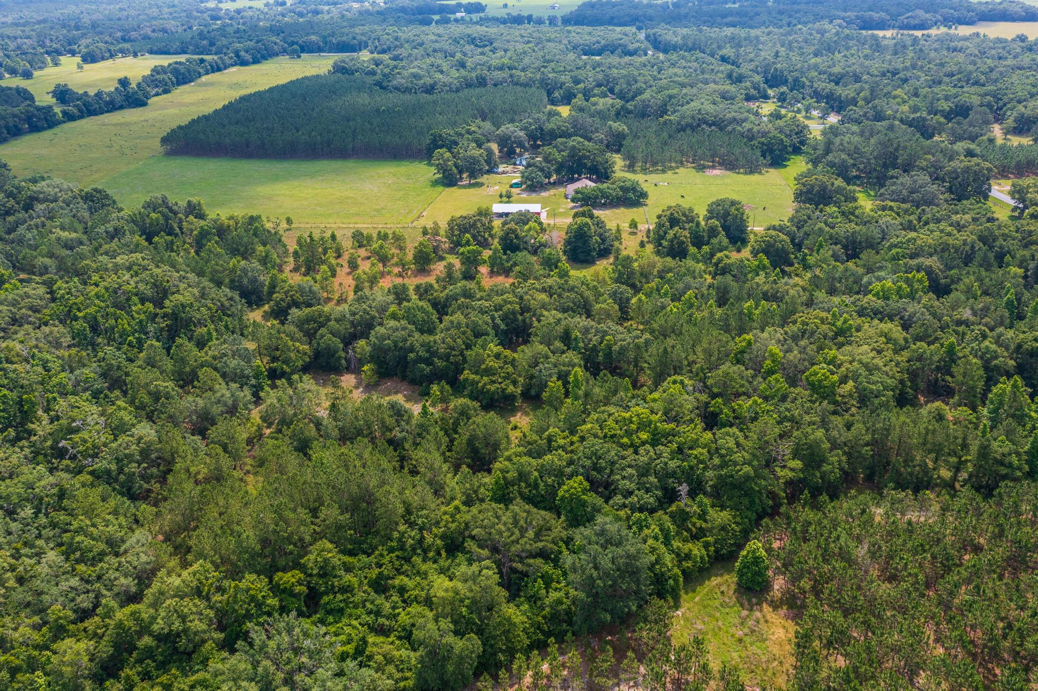 Greater Wellborn area - Land