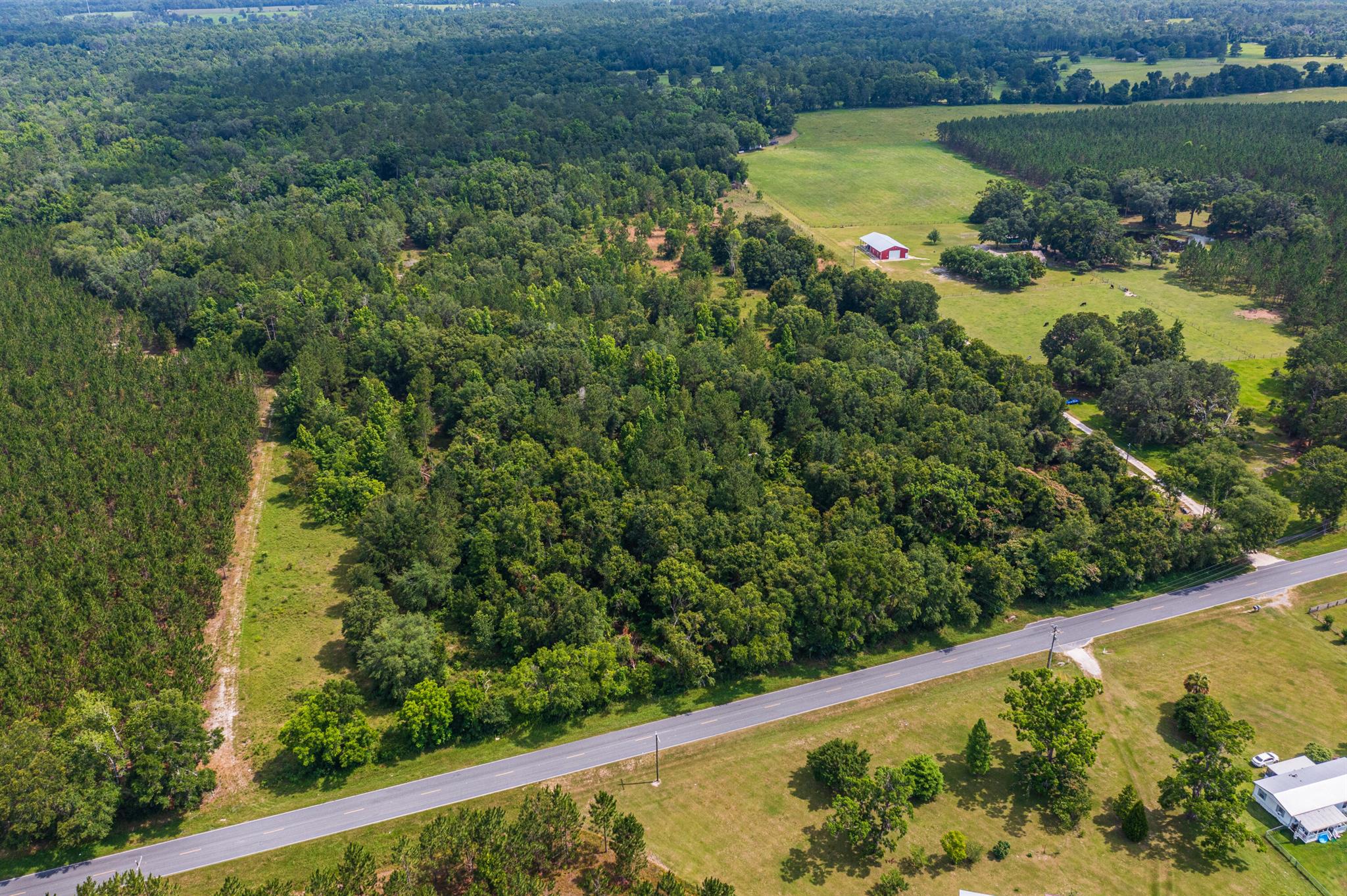 Greater Wellborn area - Land