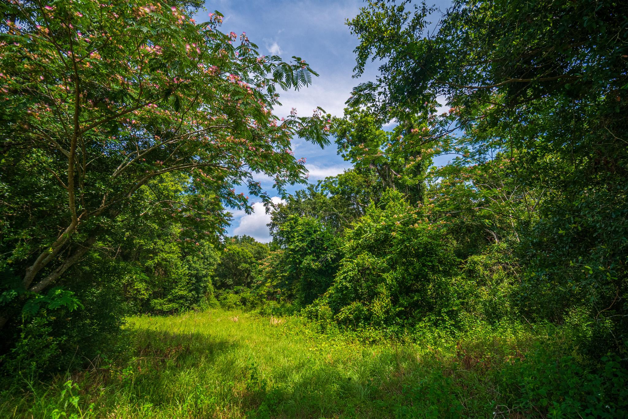 Greater Wellborn area - Land