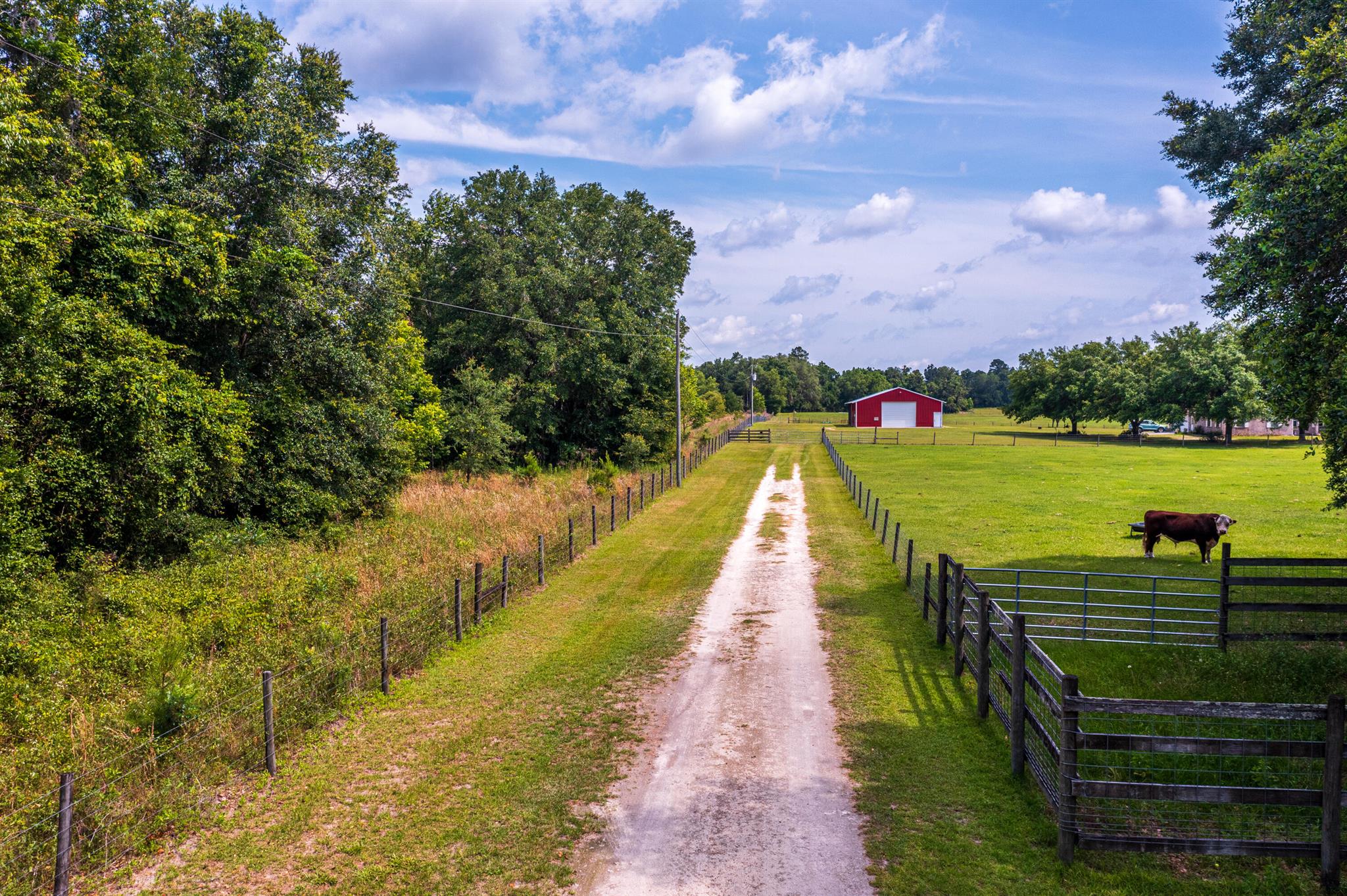 Greater Wellborn area - Land