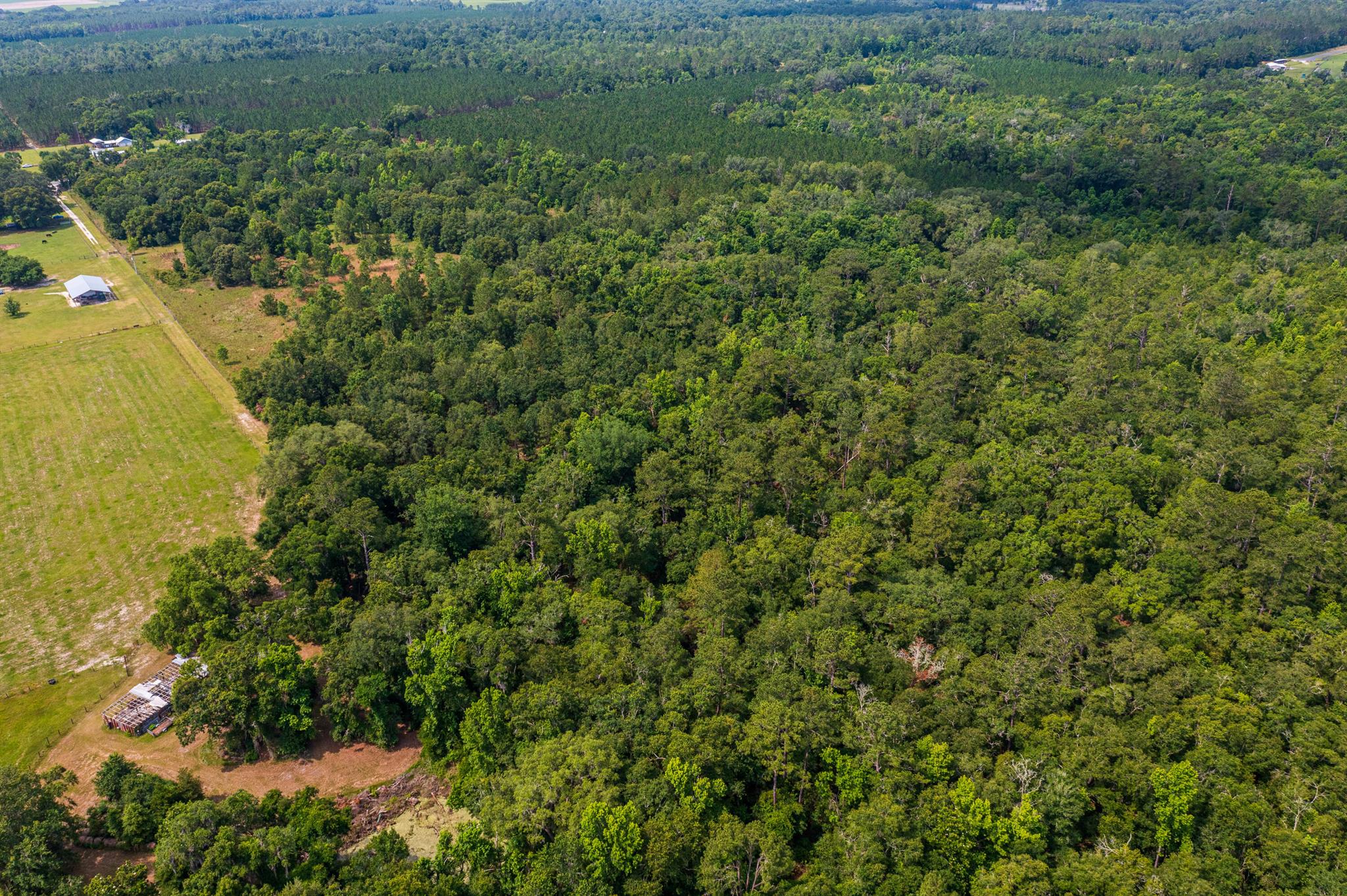 Greater Wellborn area - Land