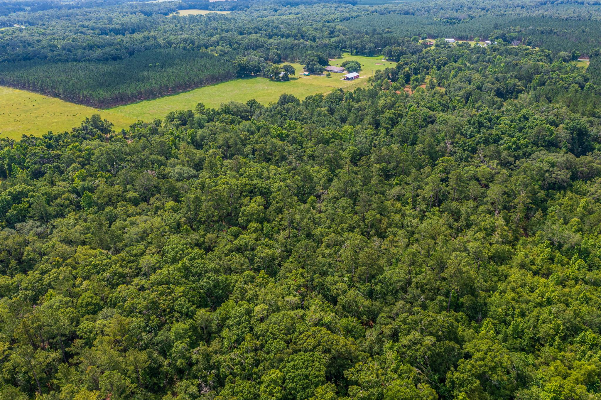 Greater Wellborn area - Land