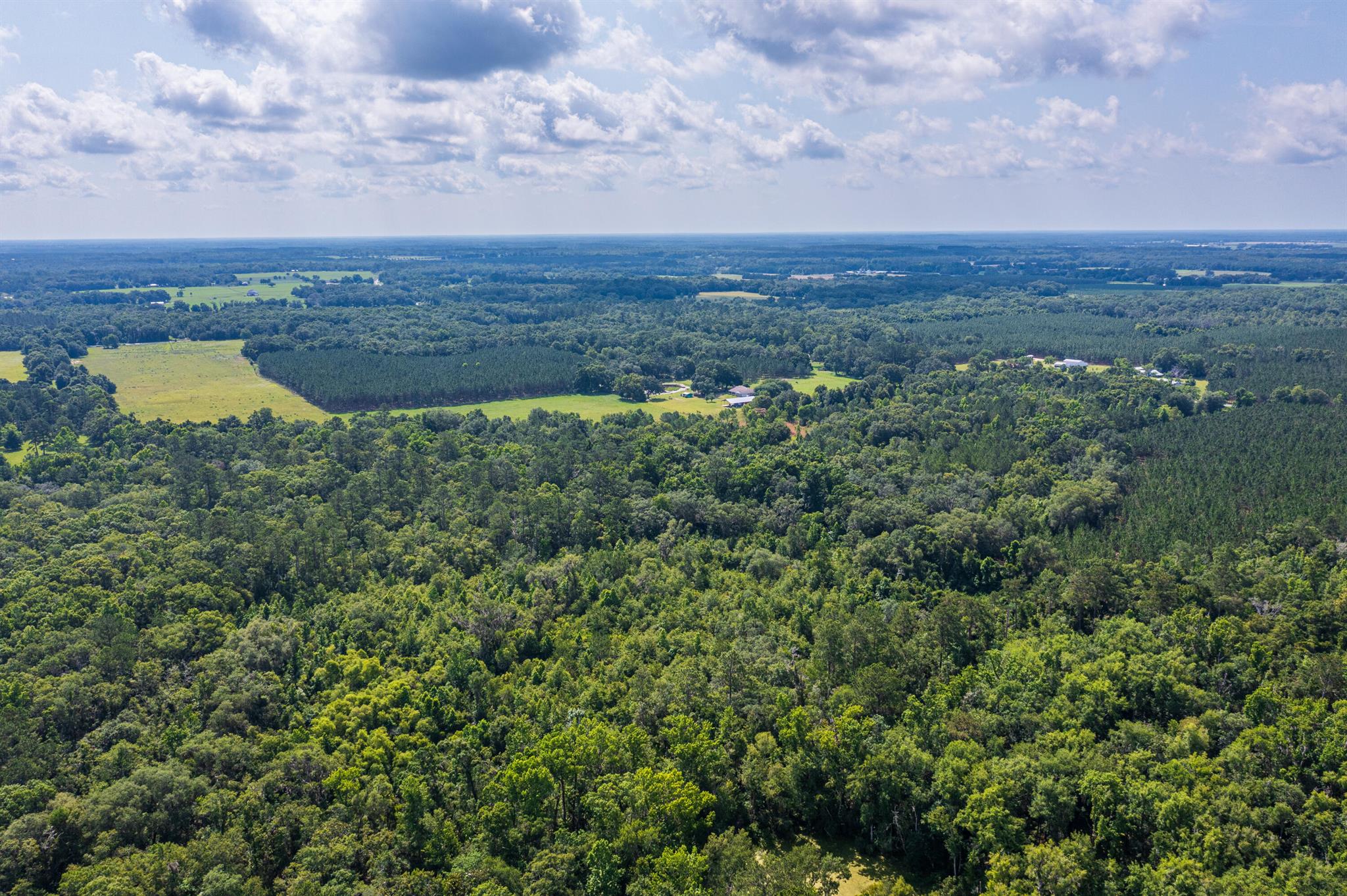 Greater Wellborn area - Land