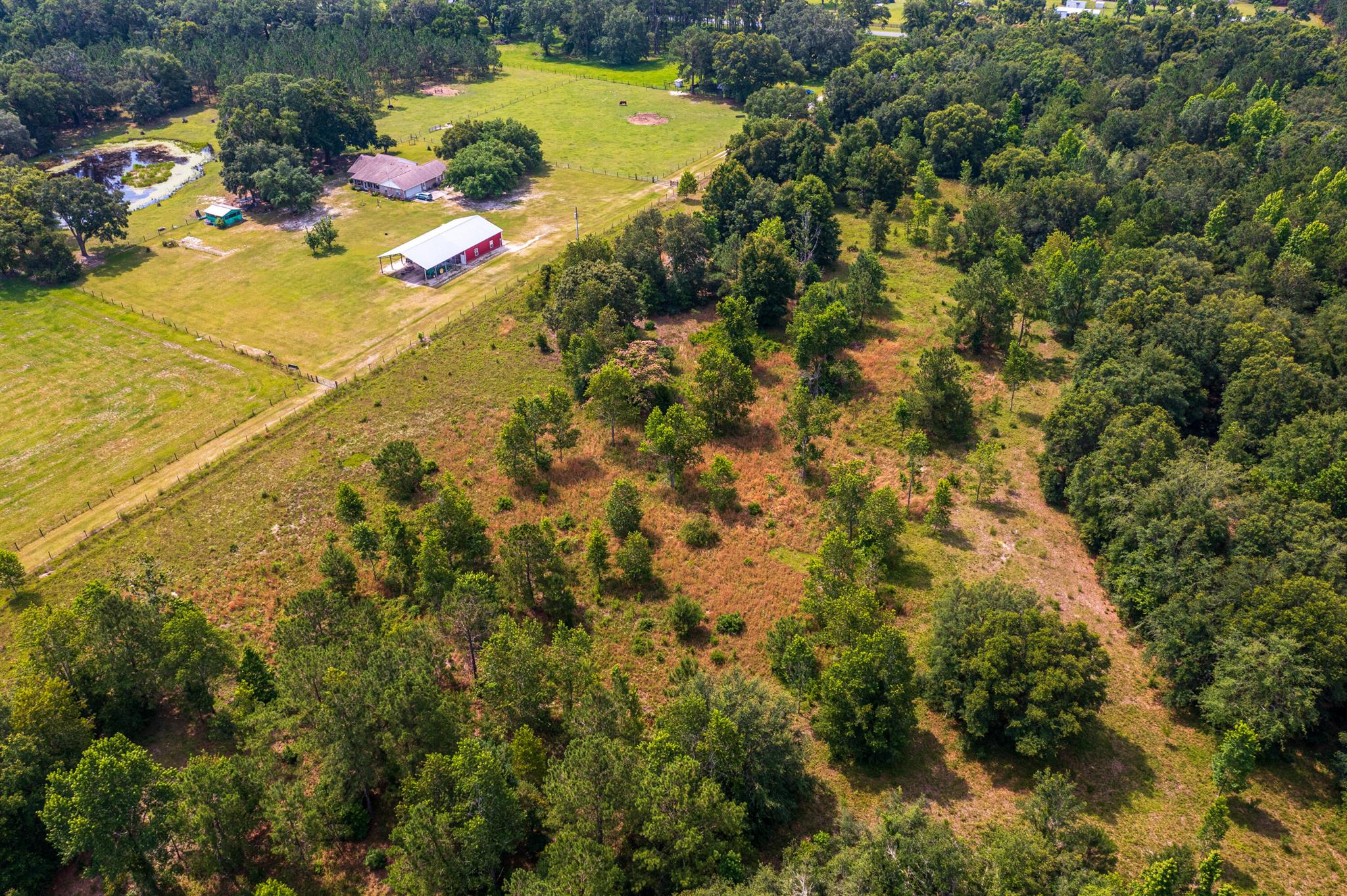 Greater Wellborn area - Land