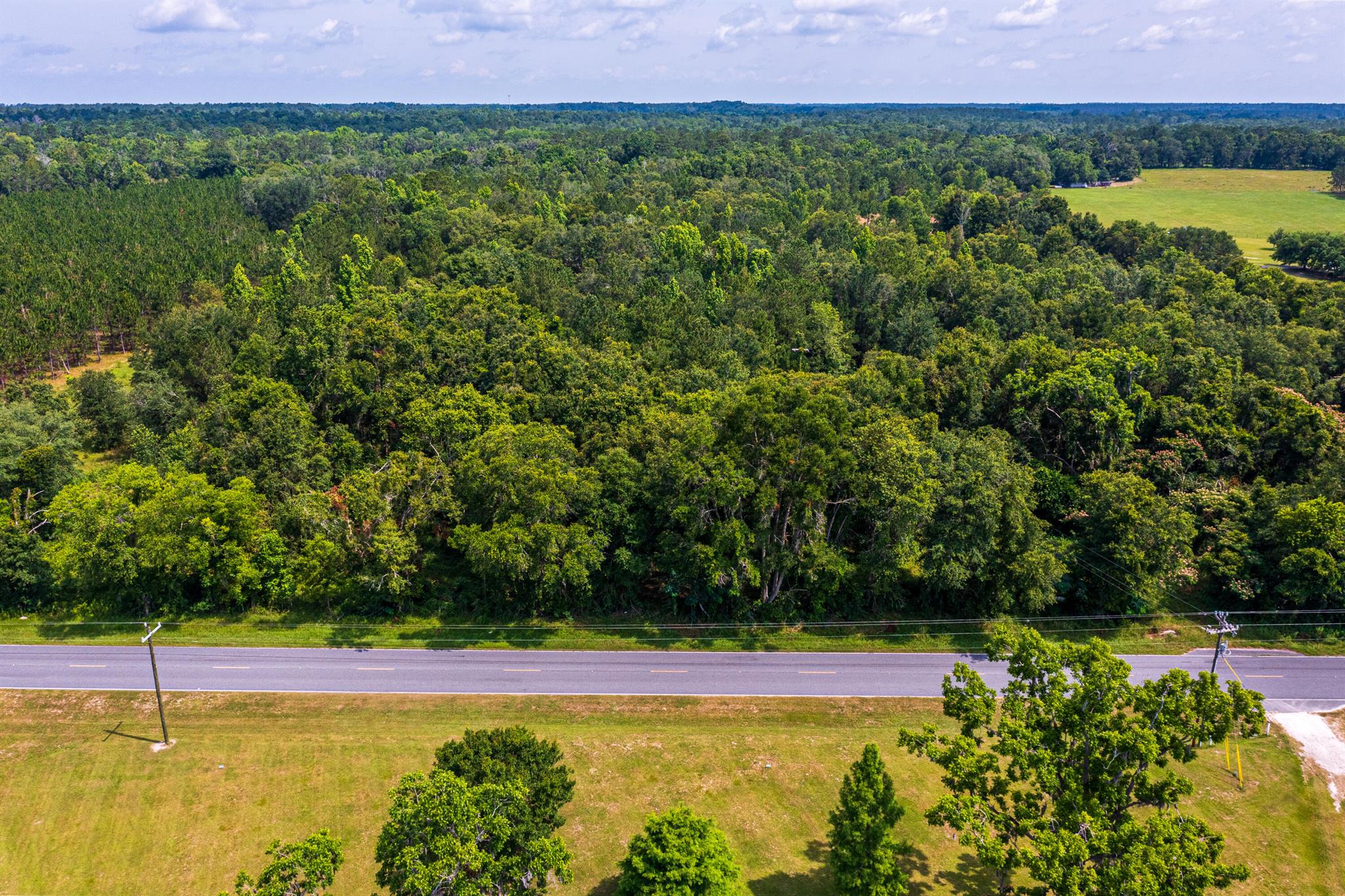 Greater Wellborn area - Land