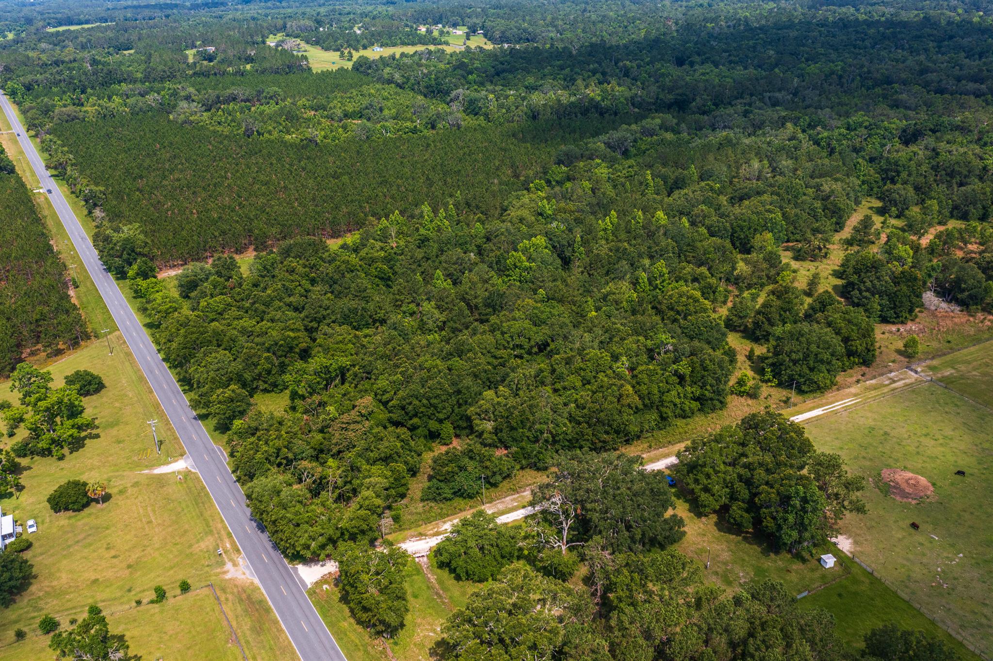 Greater Wellborn area - Land